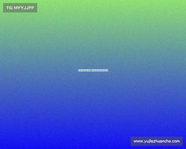 国外趣味体育赛事,国外趣味体育赛事有哪些